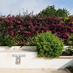 Alloro Vila *