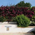 Vila Alloro *